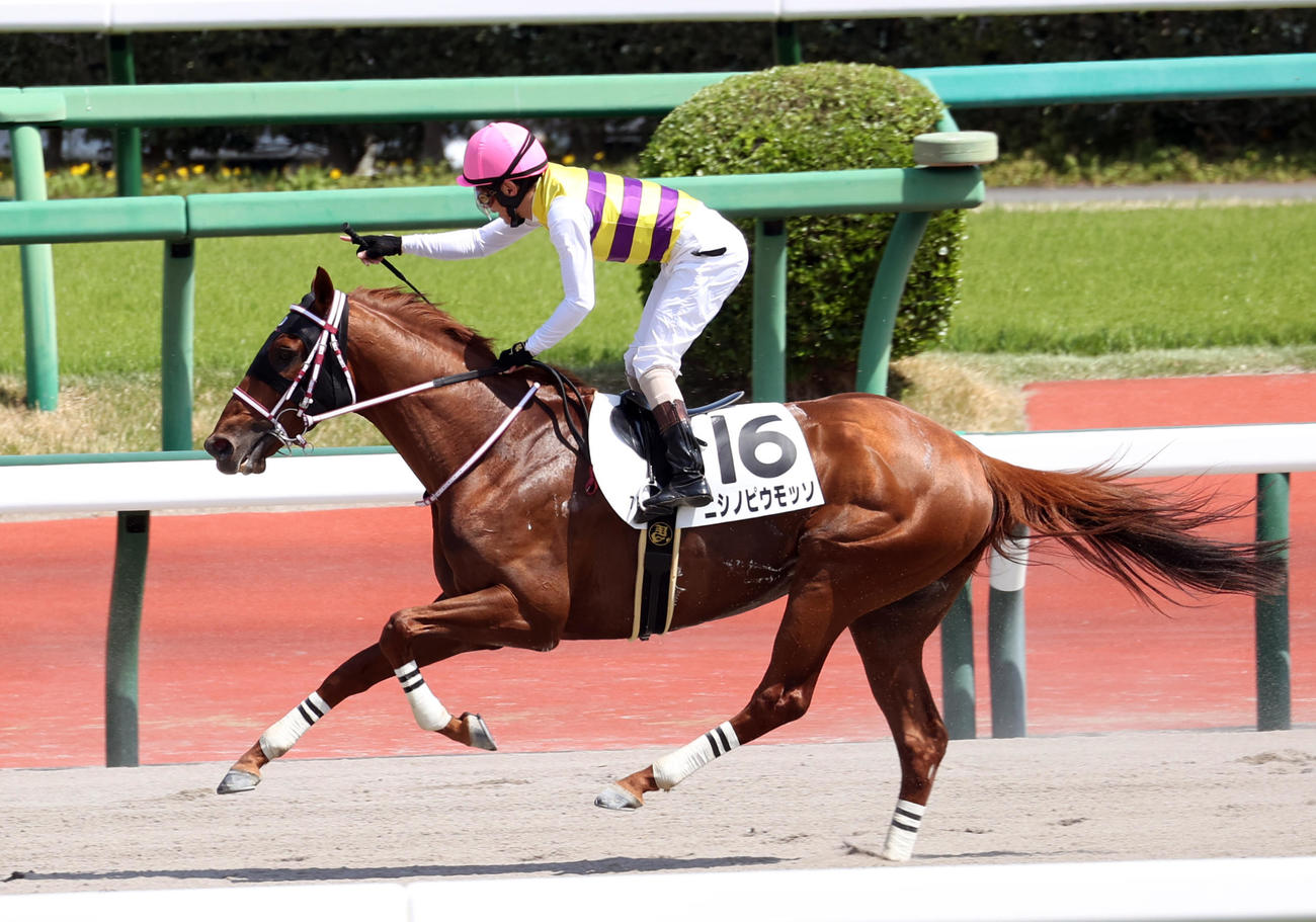 現役最後のレースとなった中山7R、ニシノピウモッソで2着だった勝浦騎手（撮影・柴田隆二）