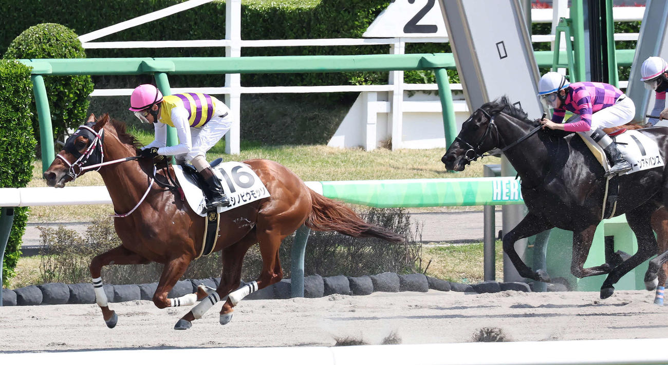 現役最後のレースとなった中山7R、ニシノピウモッソで2着だった勝浦騎手（左）（撮影・丹羽敏通）