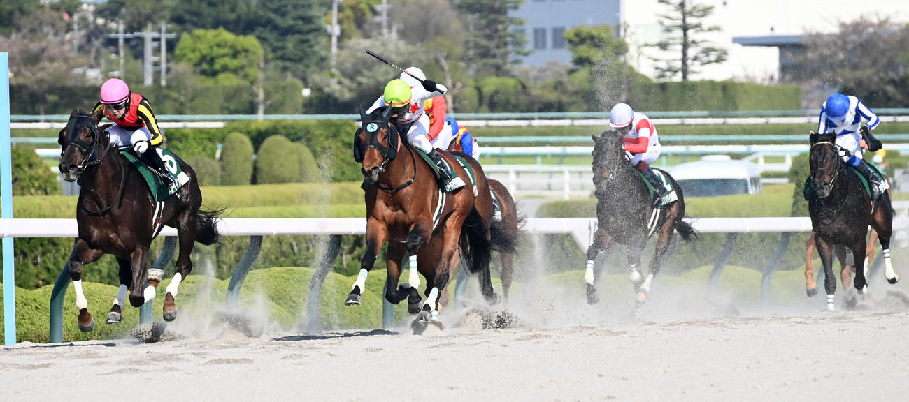 アンタレスSを制したミッキーヌチバナ（撮影・前岡正明）