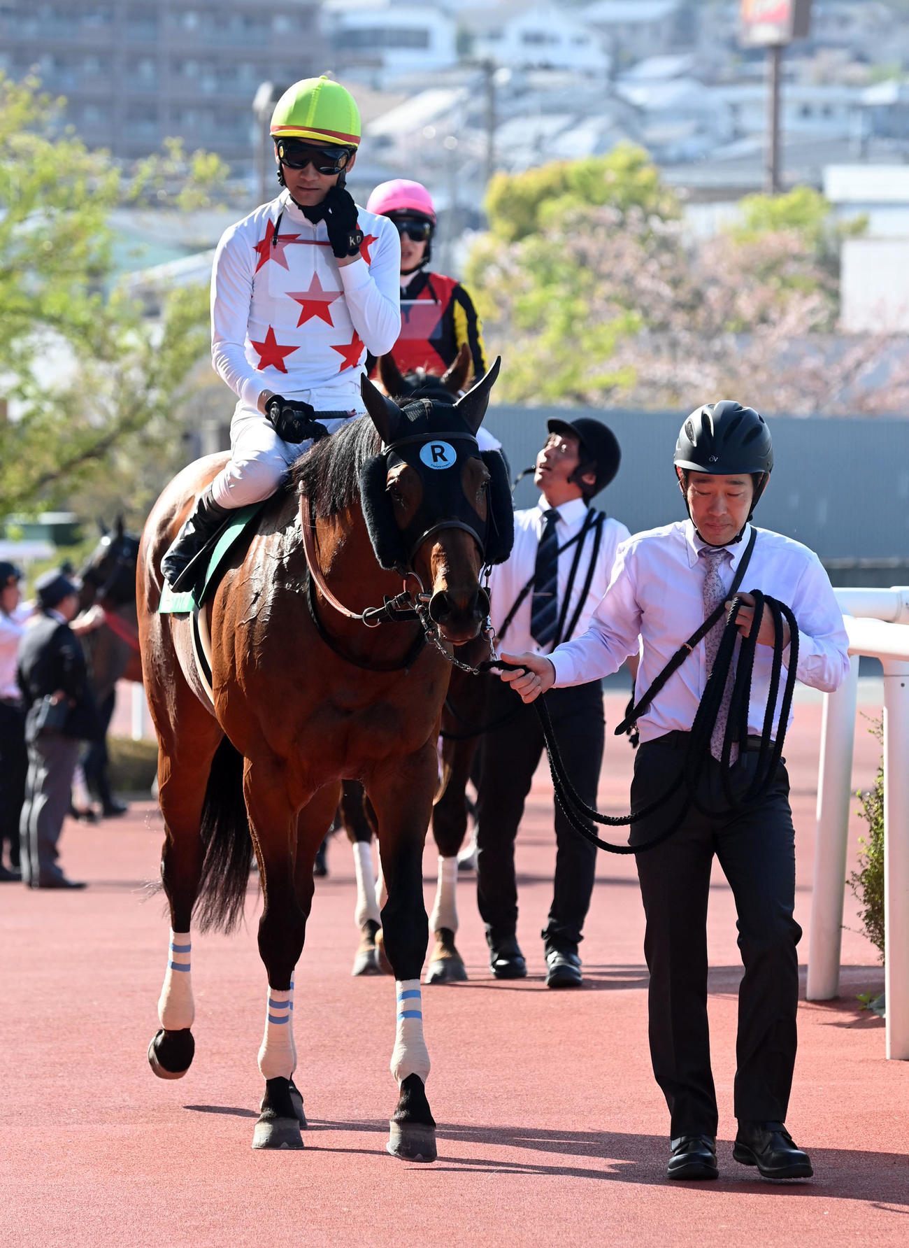 アンタレスSを制したミッキーヌチバナ（撮影・前岡正明）