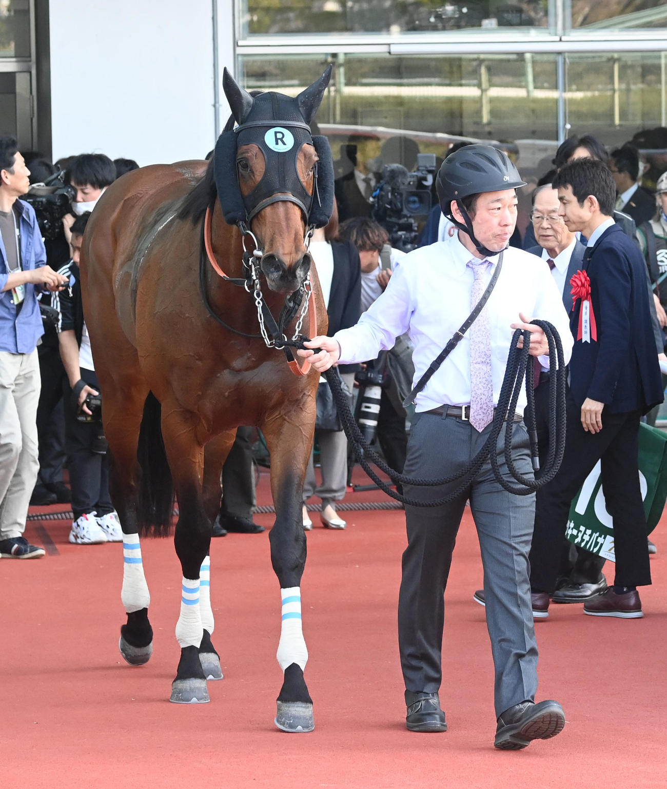 アンタレスSを制したミッキーヌチバナ（撮影・前岡正明）