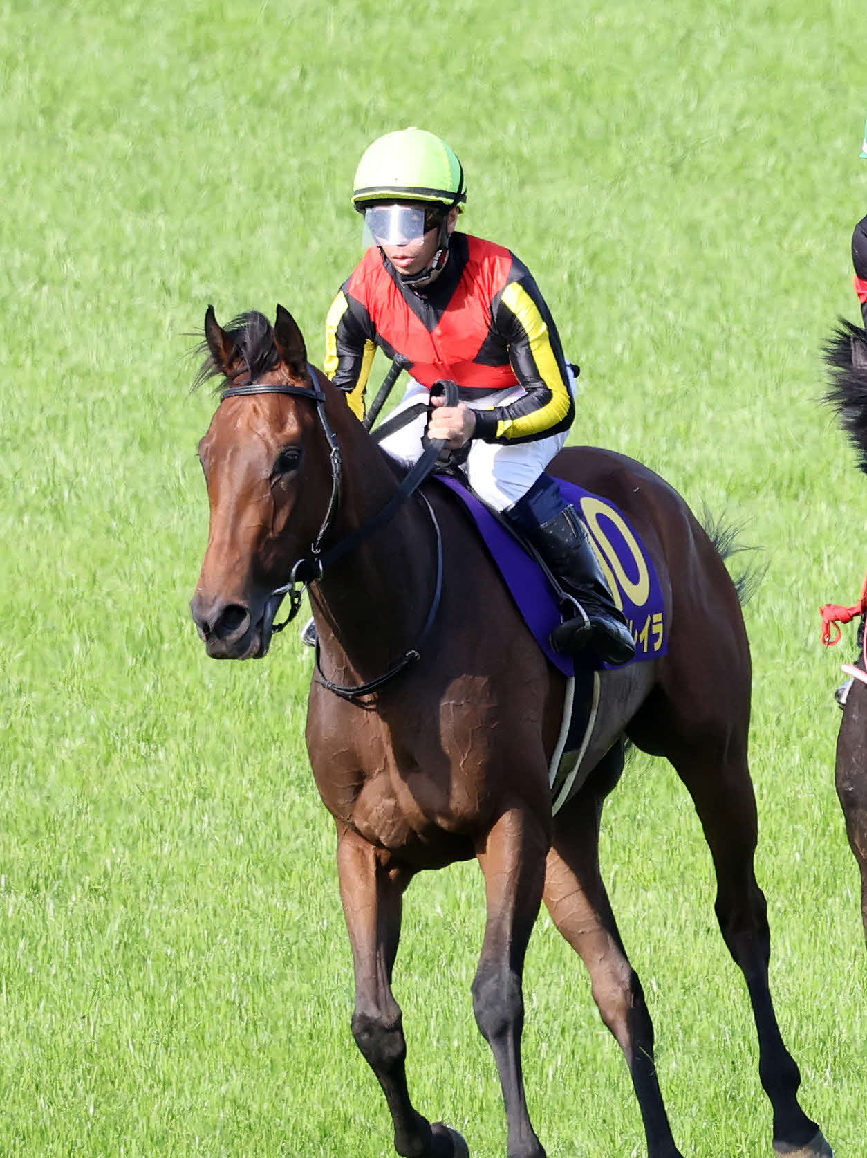 皐月賞で6着になったレガレイラと北村宏司騎手（撮影・鈴木正人）