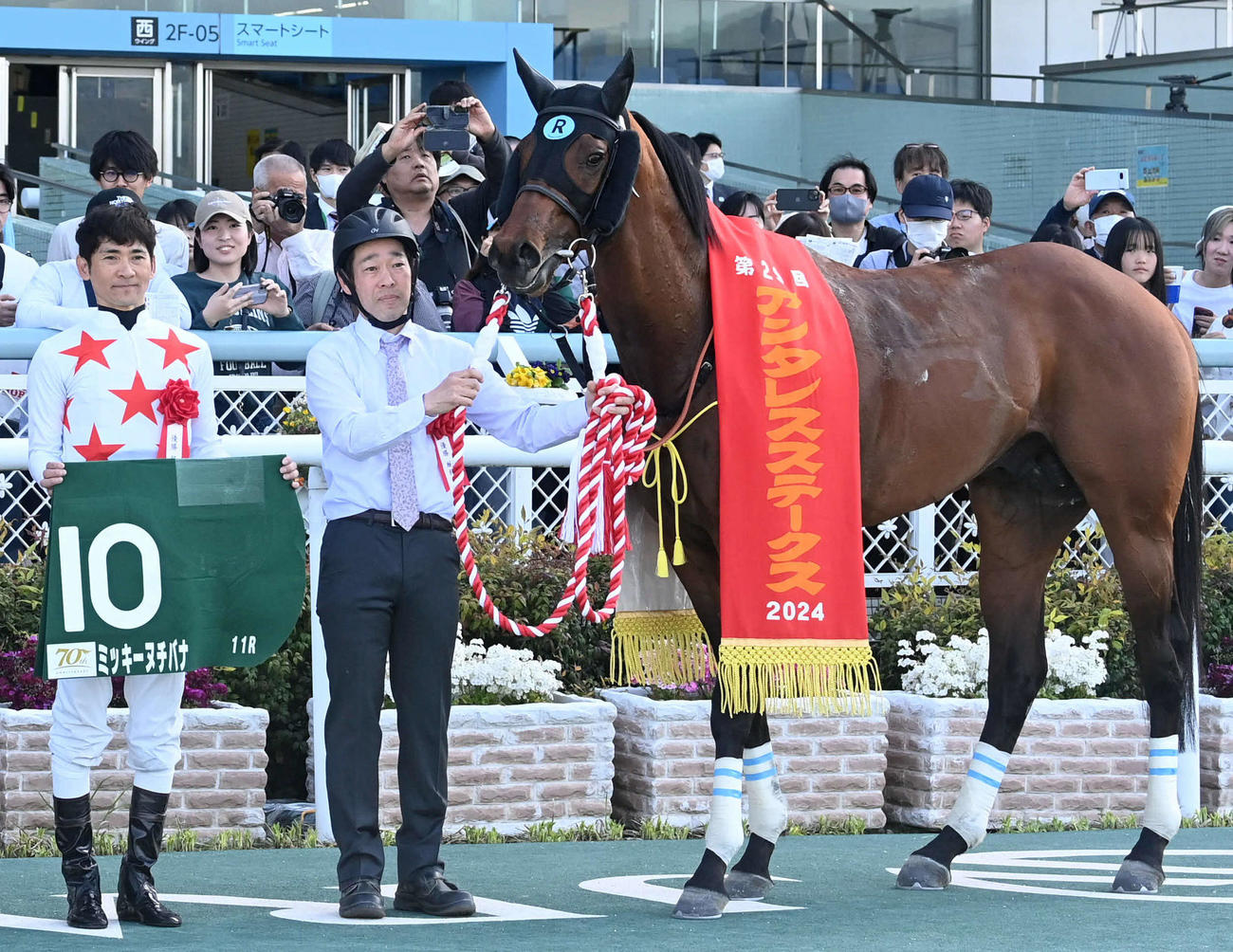 アンタレスSを制したミッキーヌチバナと太宰騎手（撮影・前岡正明）