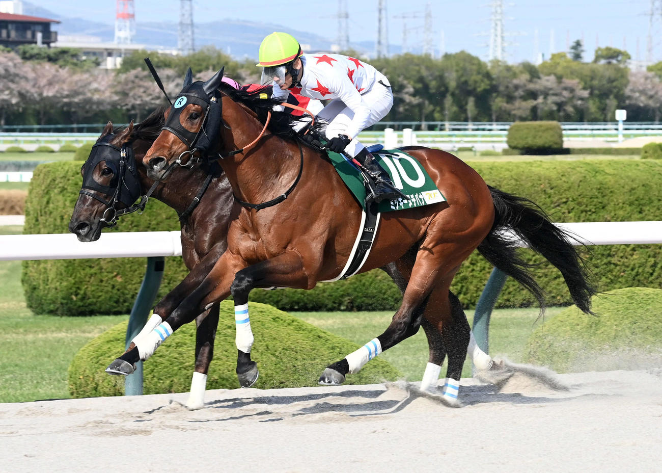 11RアンタレスSを制したミッキーヌチバナ（撮影・前岡正明）