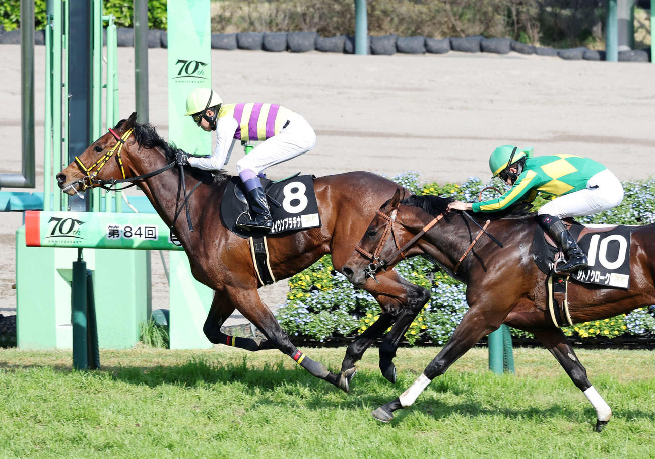 ドゥラメンテCを制したセイウンプラチナ（左）と武豊騎手（撮影・鈴木正人）