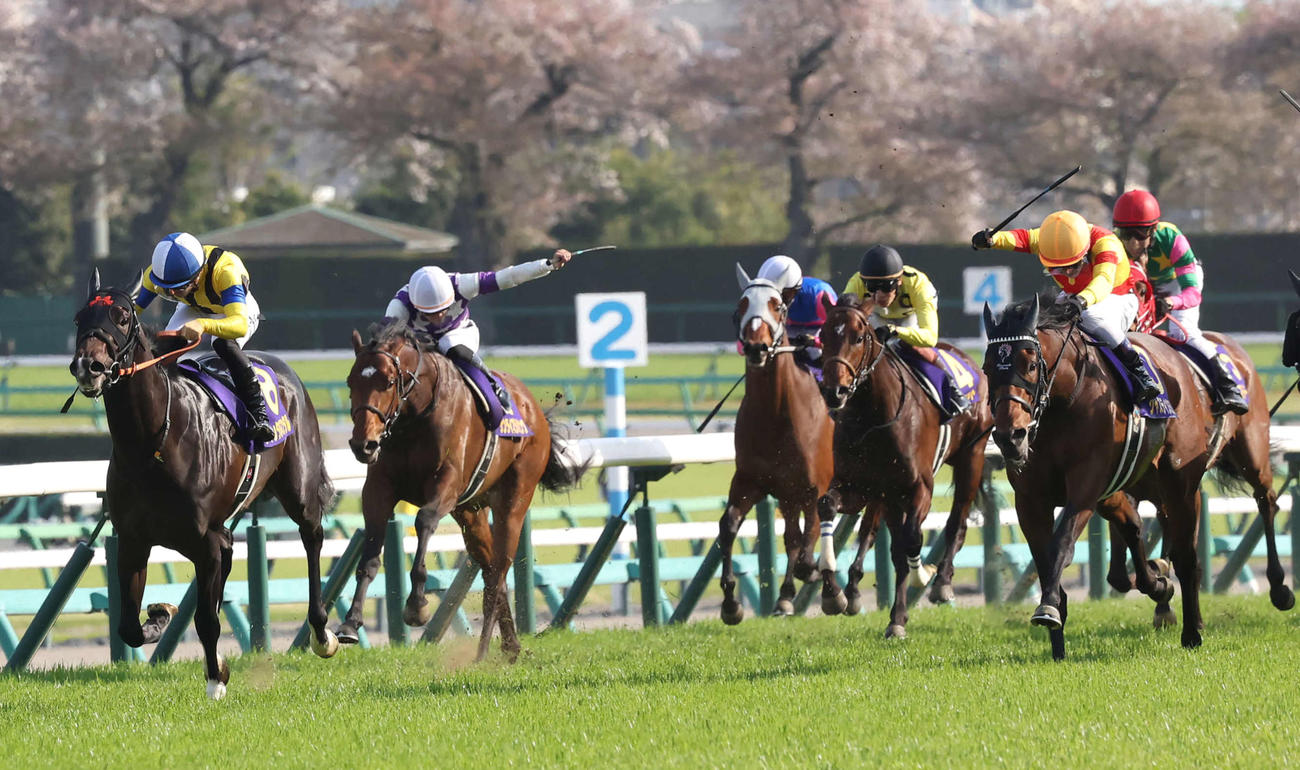皐月賞3着に敗れたジャンタルマンタル（左）。右は勝ったジャスティンミラノ（撮影・丹羽敏通）