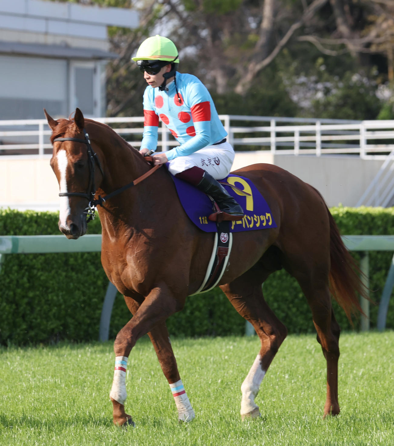皐月賞で4着アーバンシックと横山武騎手（撮影・柴田隆二）