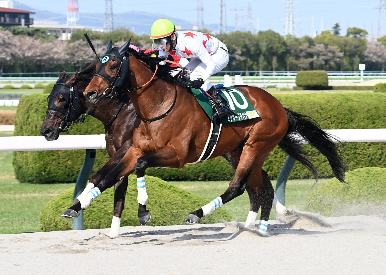 アンタレスSを制したミッキーヌチバナ（撮影・前岡正明）
