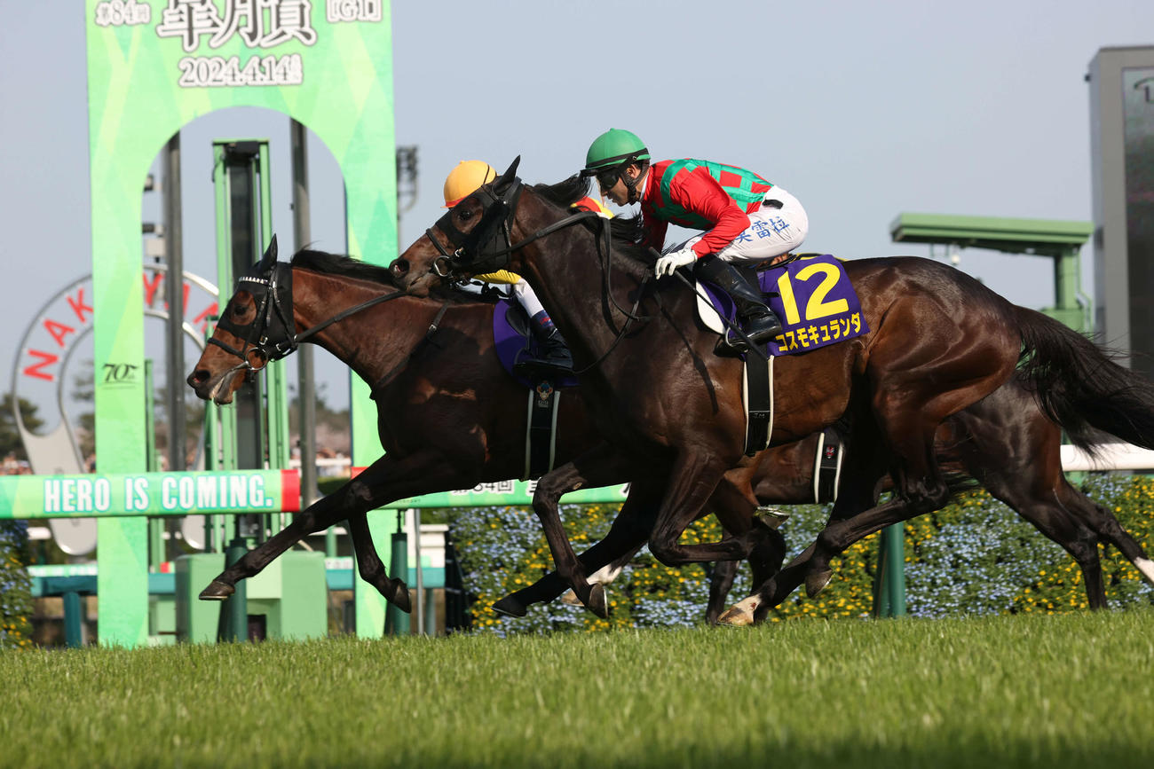 皐月賞2着に敗れたコスモキュランダ。奥は勝ったジャスティンミラノ（撮影・柴田隆二）