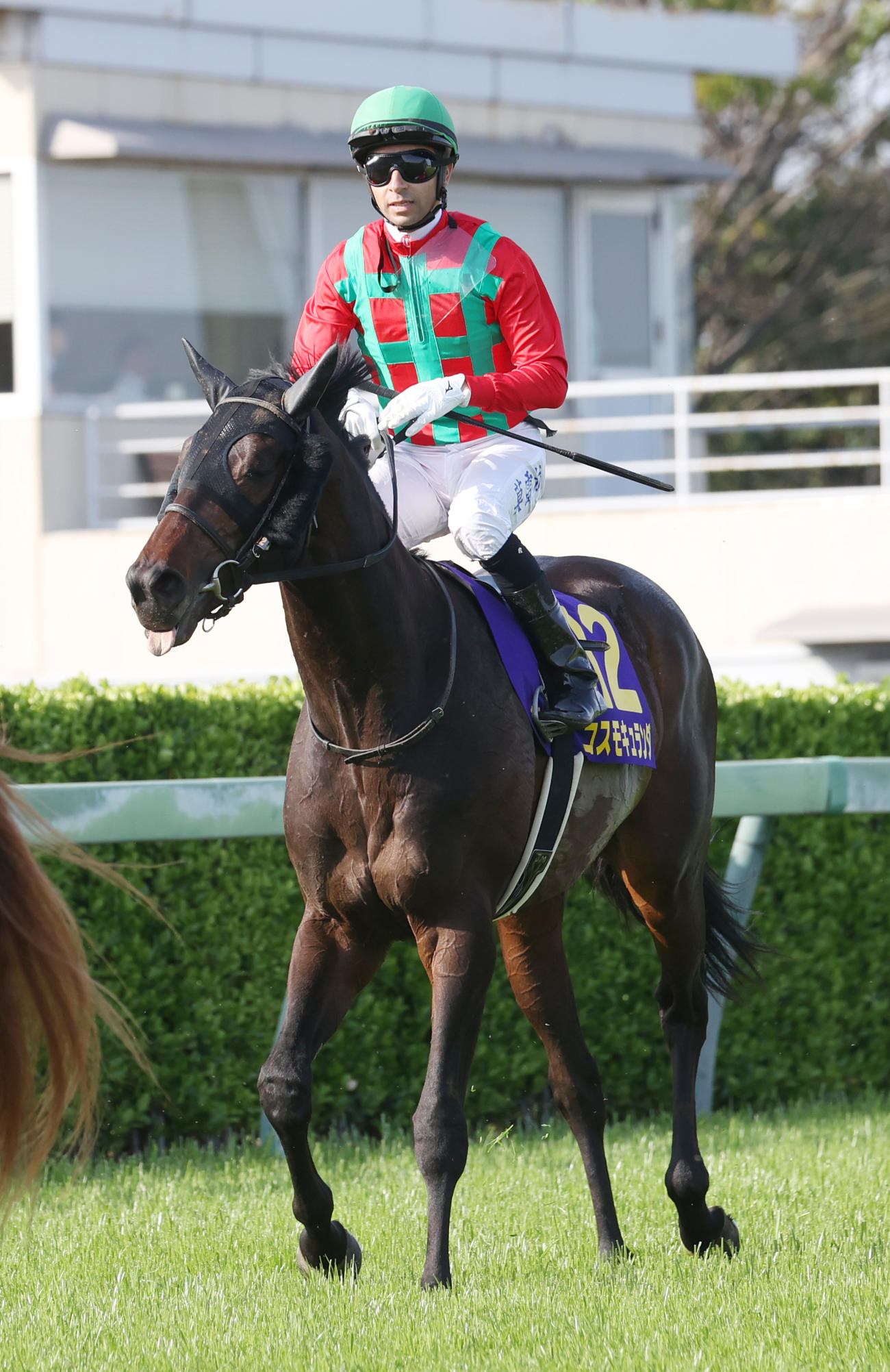 皐月賞で2着のコスモキュランダとモレイラ騎手（撮影・柴田隆二）