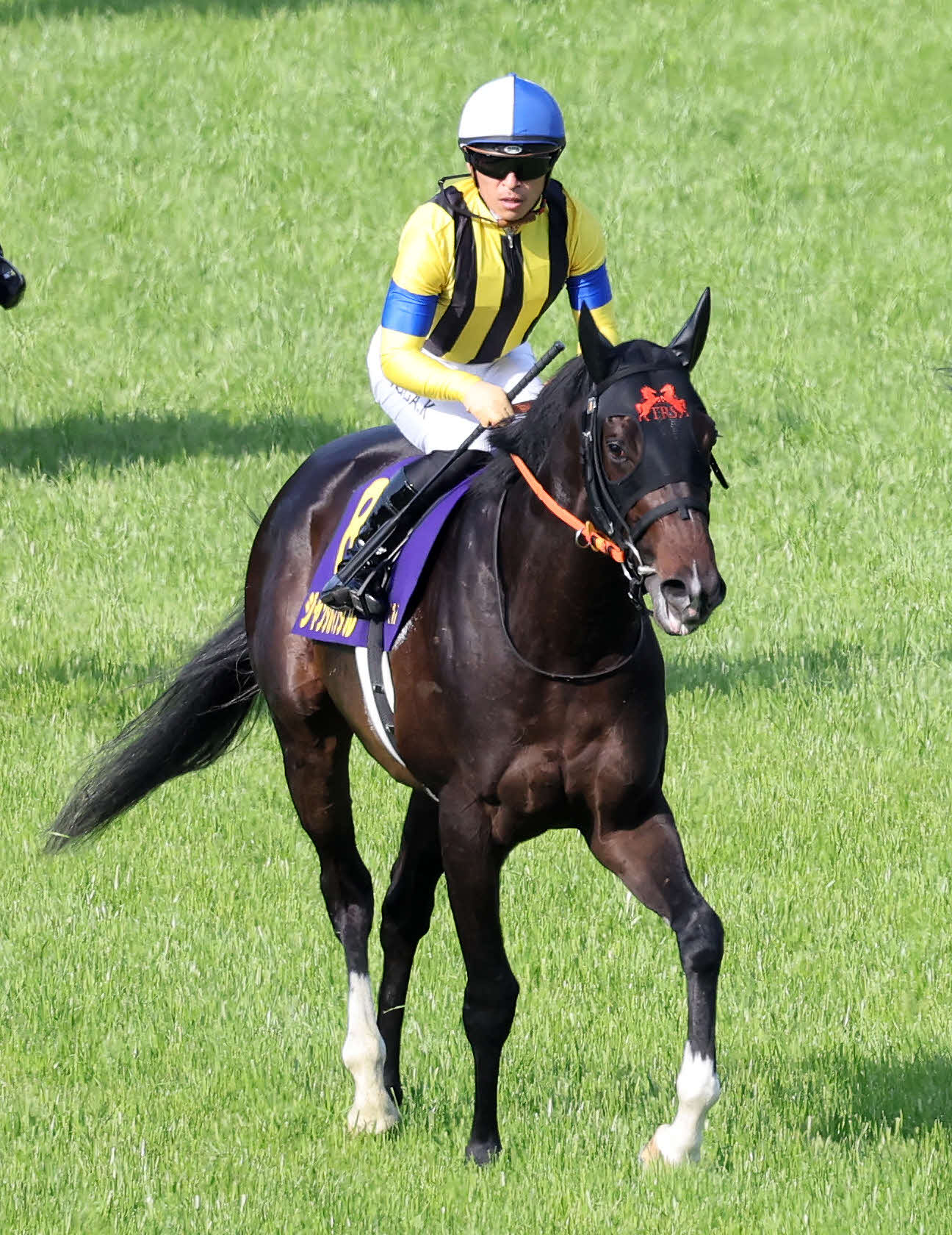 皐月賞で3着になったジャンタルマンタルと川田将雅騎手（撮影・鈴木正人）