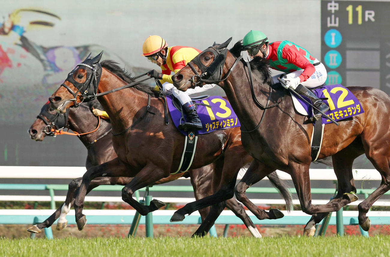 皐月賞を制したジャスティンミラノ（中央）（撮影・柴田隆二）