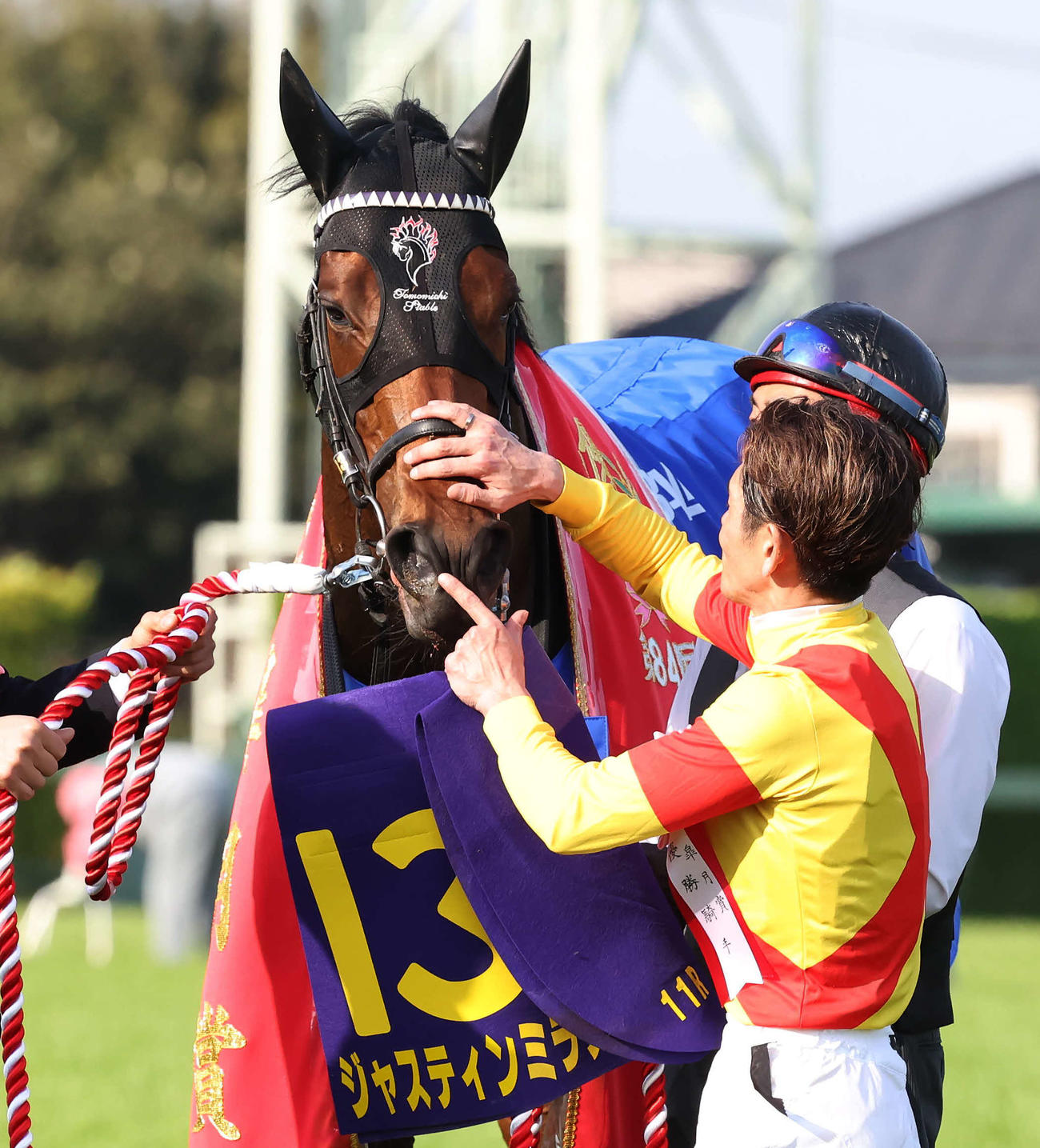 ジャスティンミラノをねぎらう戸崎騎手（撮影・丹羽敏通）