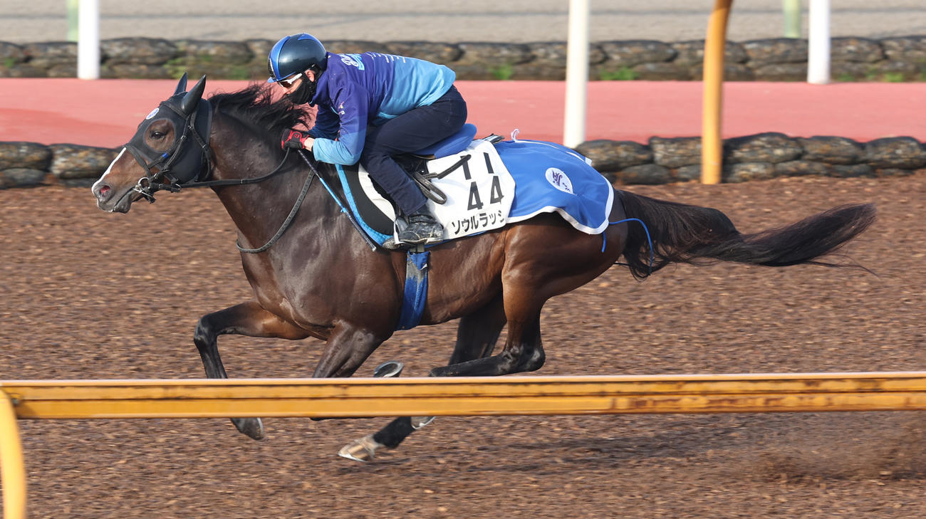 11日、松山騎手を背にCWコースで1週前追い切りを行うソウルラッシュ
