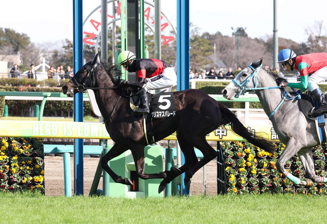 水仙賞を制したクリスマスパレードと石川裕紀人騎手