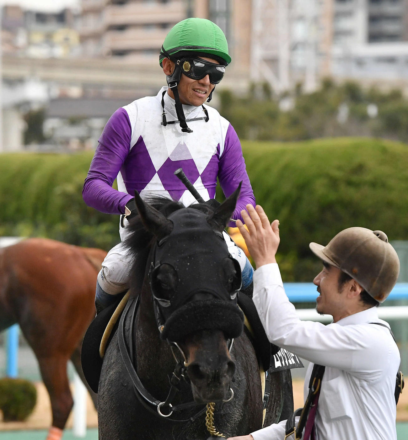門司ステークスを制したロッシュローブ（2023年1月撮影）