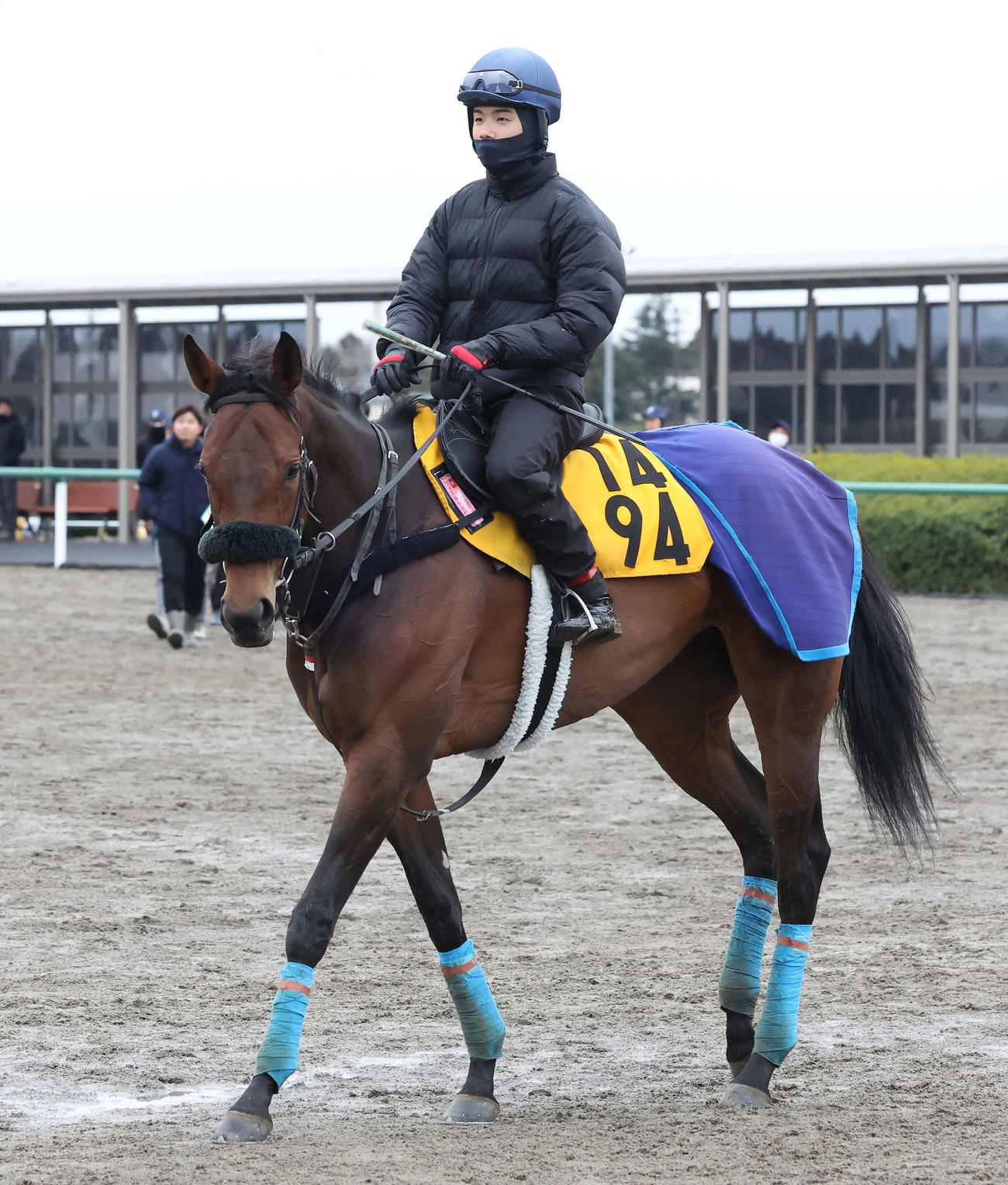 追い切りを終えて馬場を出るフィールシンパシー