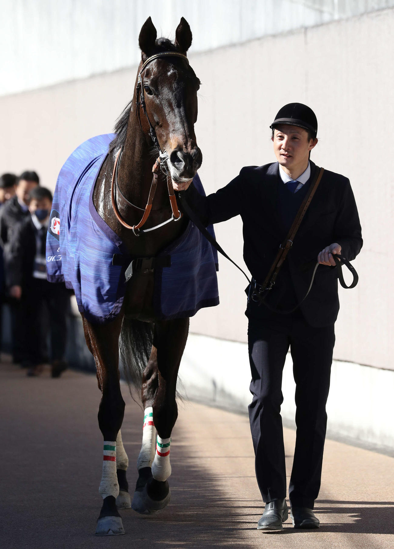 オークス切符を狙うバロネッサ（24年2月11日撮影）