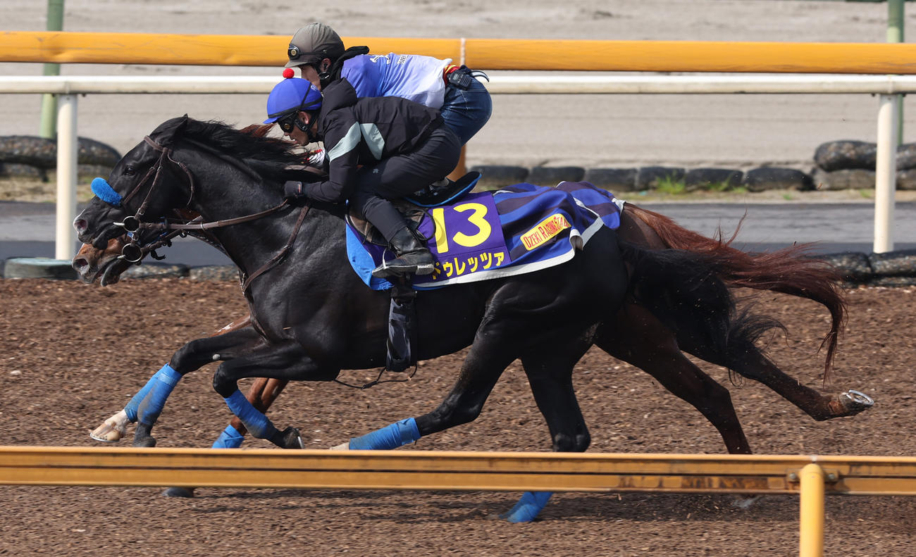 戸崎騎手を背にCWコースにて併せ馬で追い切るドゥレッツァ（手前）