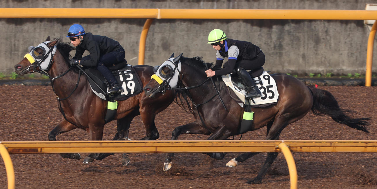 CWコースにて併せ馬で追い切るボルザコフスキー（右）。左はシュガークン