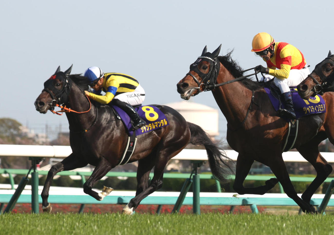 皐月賞3着のジャンタルマンタル（左）。右は勝ったジャスティンミラノ