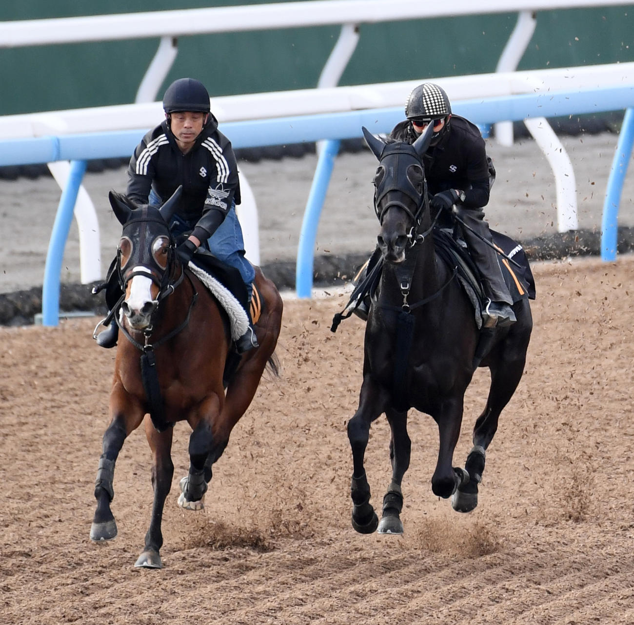 クリスマスパレード（右）はユニヴェールアンと併せて追い切る（撮影・柴田隆二）