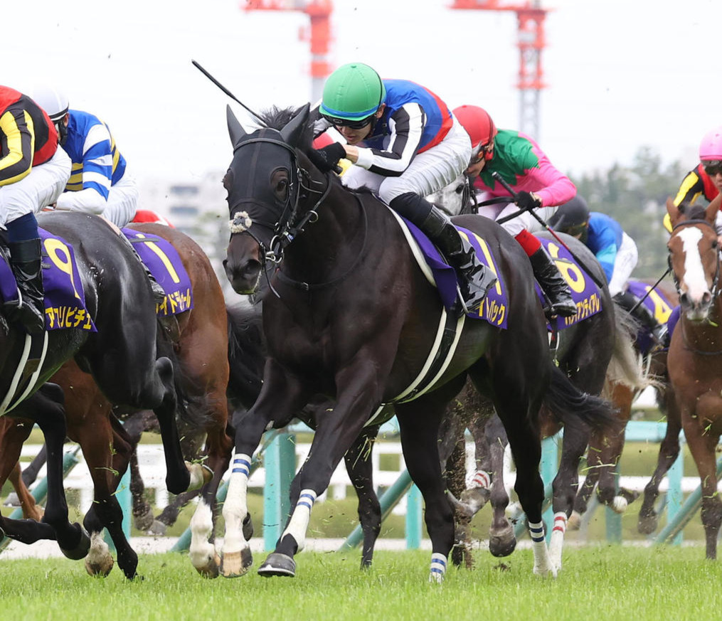 桜花賞3着に敗れたライトバック