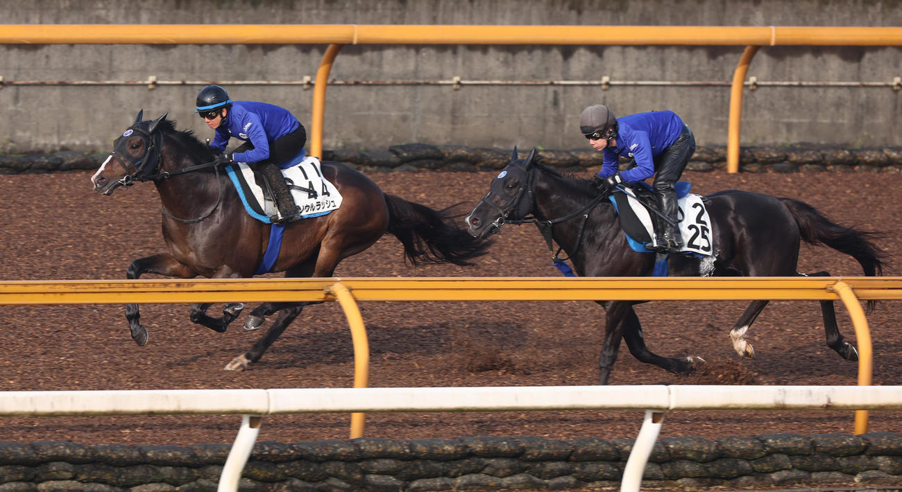 CWコースにて併せ馬で追い切るソウルラッシュ（左）