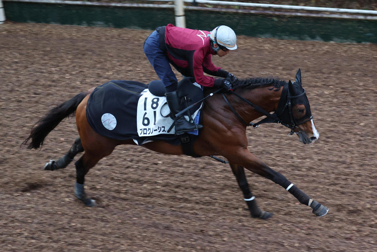 中内田調教師が騎乗し、坂路を馬なりで駆け上がったプログノーシス