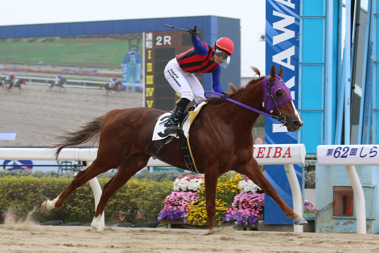 浦和2Rをリッキーマキアートで制し地方競馬通算3000勝を達成した吉原寛人騎手は右手でガッツボーズ