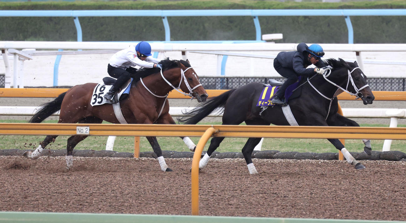 幸騎手を背にCウッドをハンディーズピーク（左）と併せ馬で追い切るディープボンド（撮影・白石智彦）