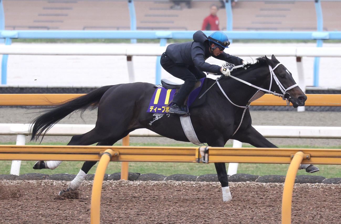 幸騎手を背にCウッドを併せ馬で追い切るディープボンド（撮影・白石智彦）
