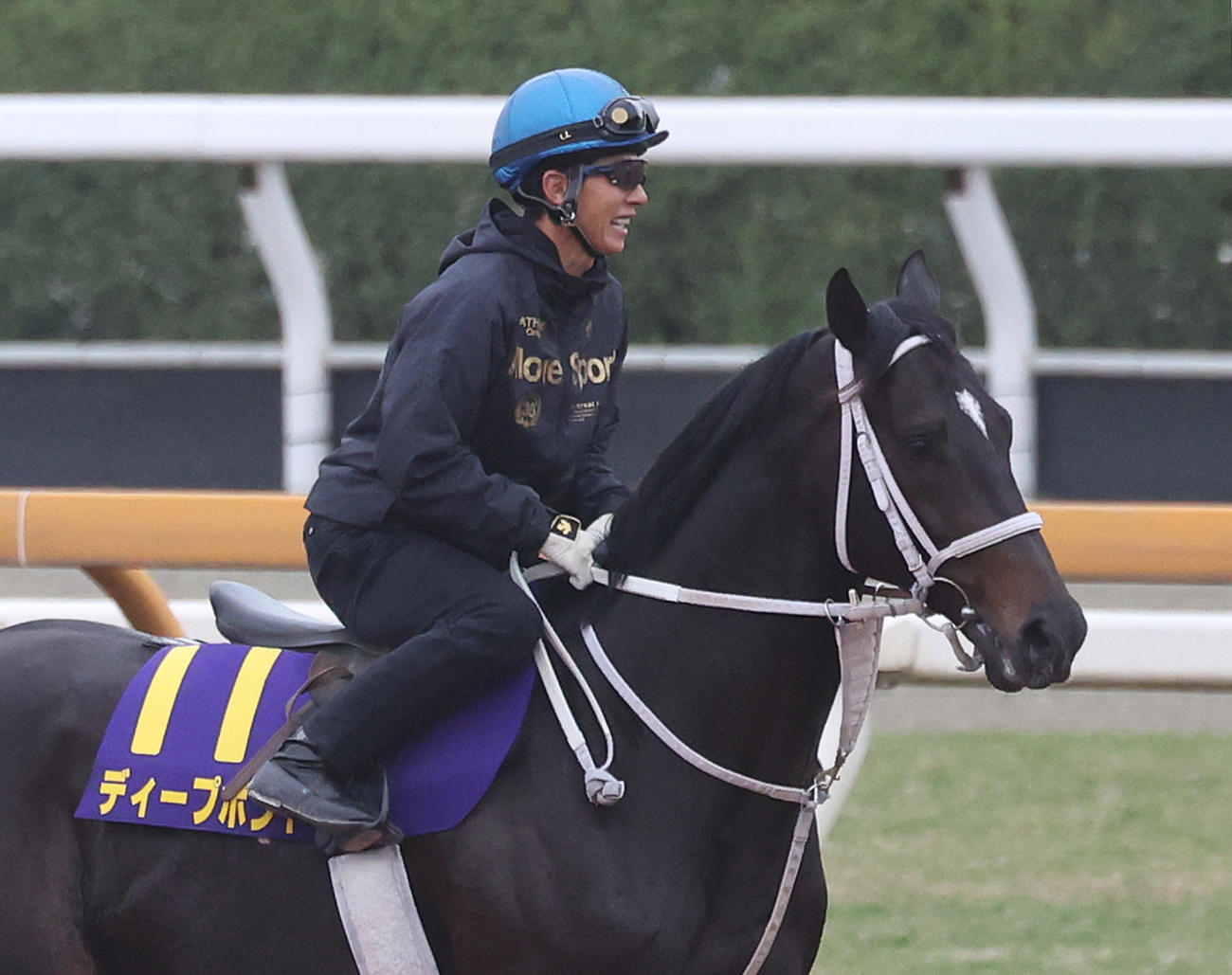 幸騎手を背に馬場入りするディープボンド（撮影・白石智彦）