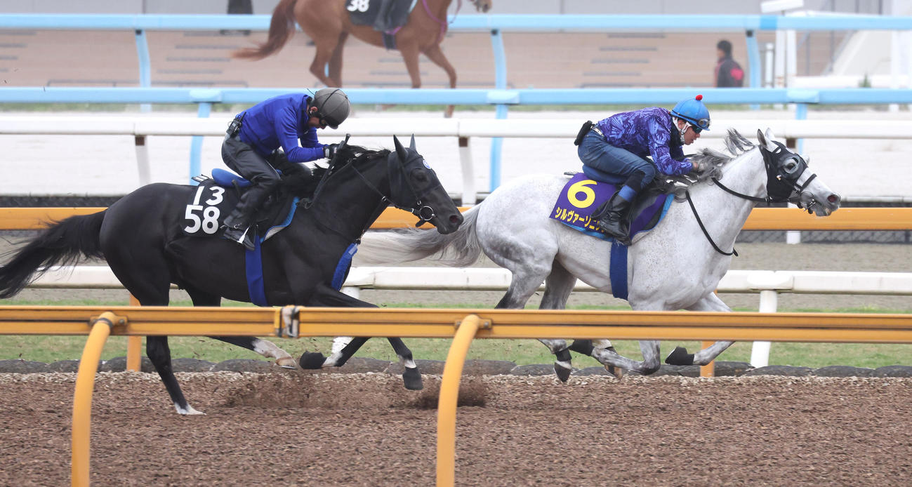 水口騎手を背にCウッドをブラックルチル（左）と併せ馬で追い切るシルヴァーソニック（撮影・白石智彦）