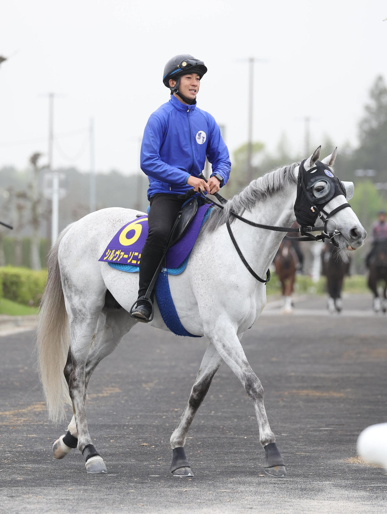 厩舎周りで運動するシルヴァーソニック（撮影・白石智彦）