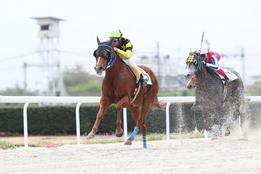 笠松3Rでスングリダンダンに騎乗して初勝利を挙げた明星晴大騎手（4月18日、笠松競馬場）