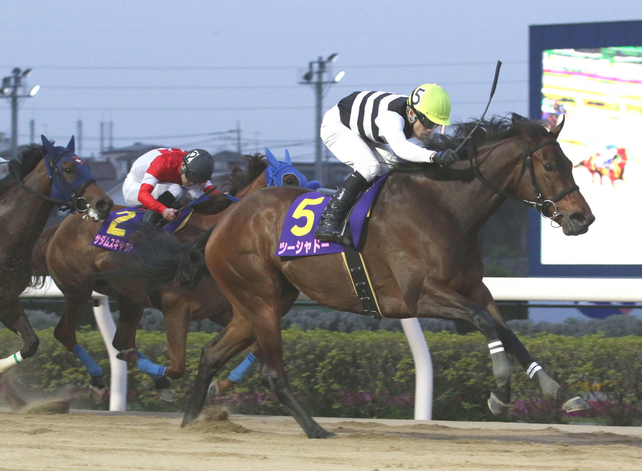 好位追走から直線で抜け出したツーシャドーと和田譲治騎手（右）がしらさぎ賞を制する