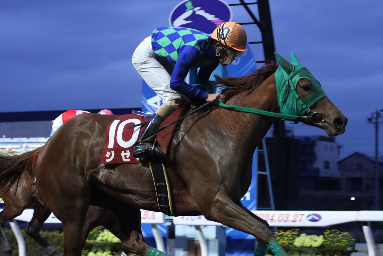 3月28日、ティアラCを制し11連勝のジゼルと森泰斗騎手