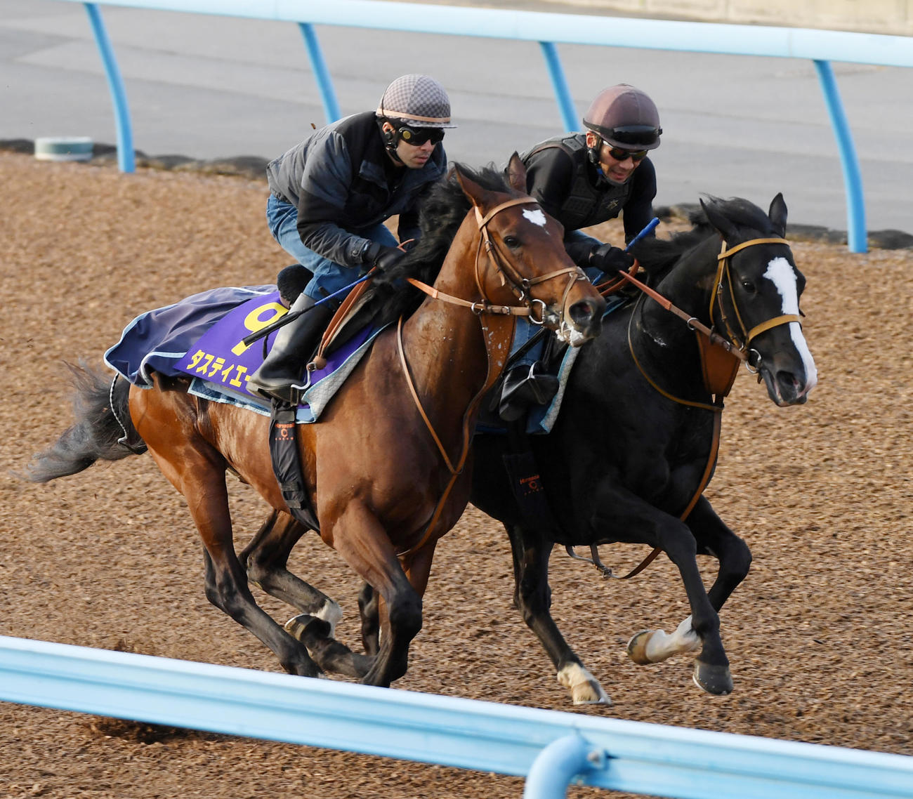 タスティエーラ（左）はゴンバデカーブースと併せて追い切る（撮影・柴田隆二）