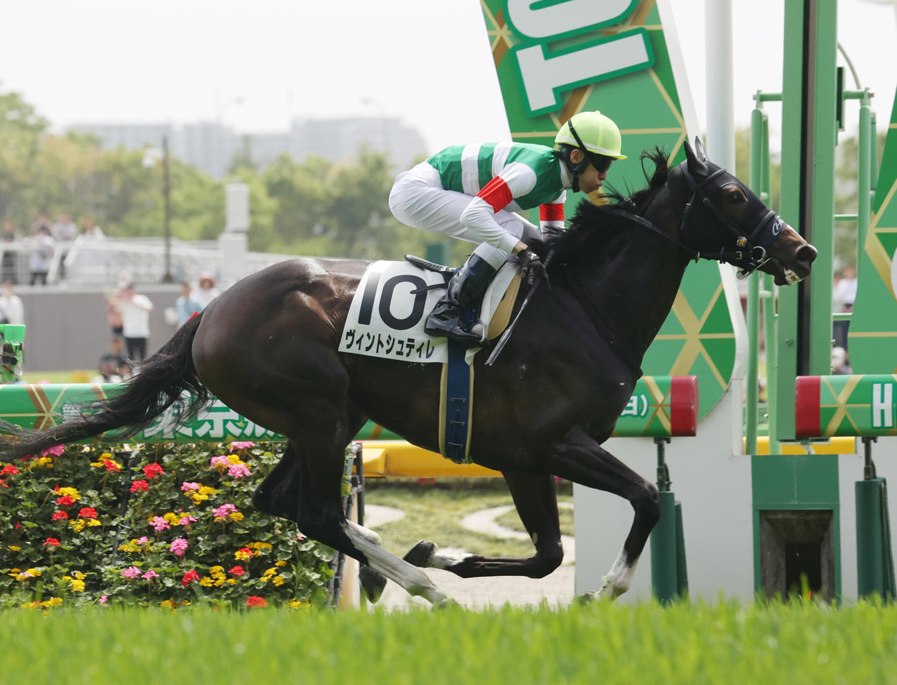 東京4R　逃げ切ったヴィントシュティレと津村明秀騎手（撮影・柴田隆二）
