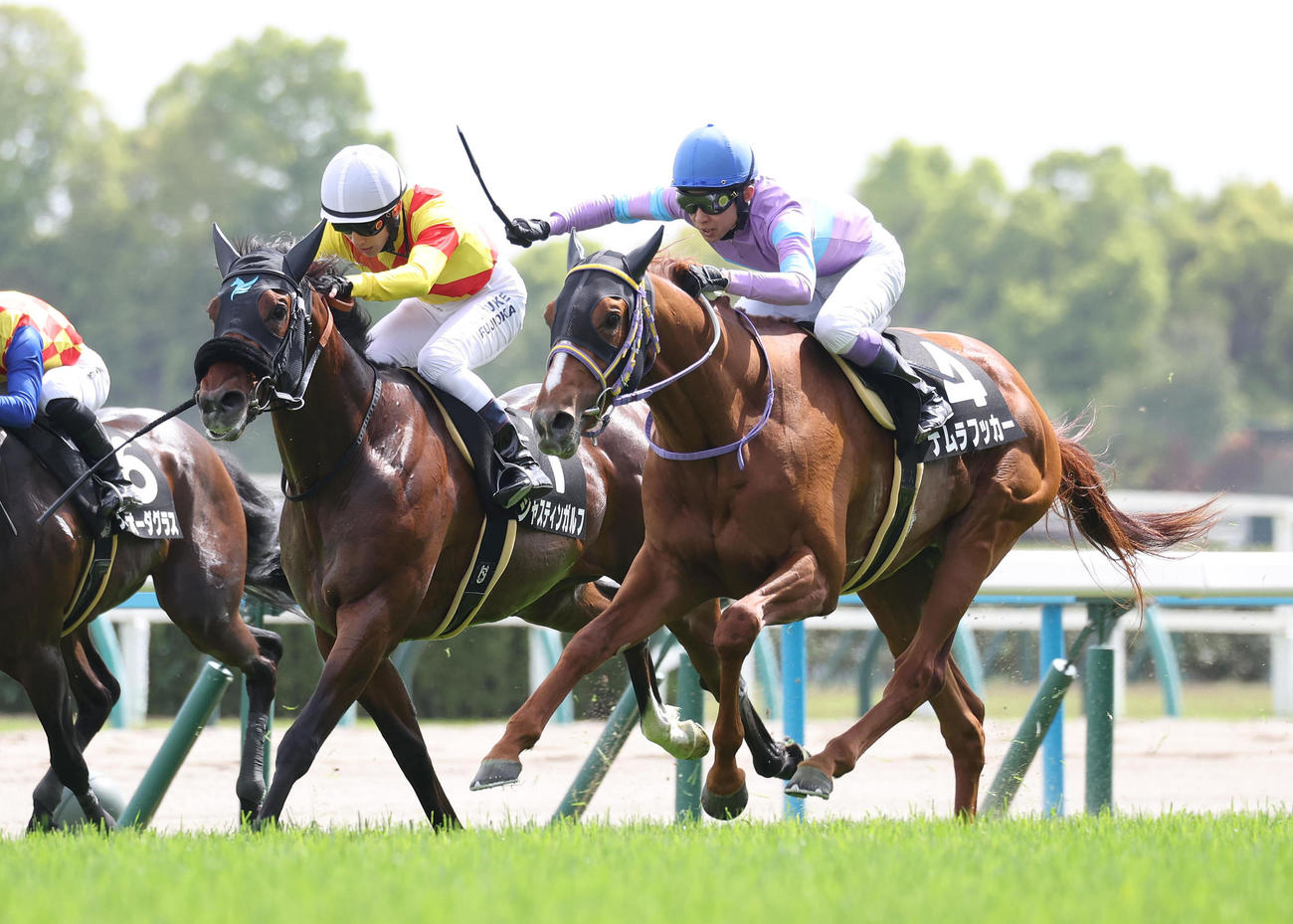 京都9R、直線外から伸びてあやめ賞を制したナムラフッカー（右）（撮影・白石智彦）