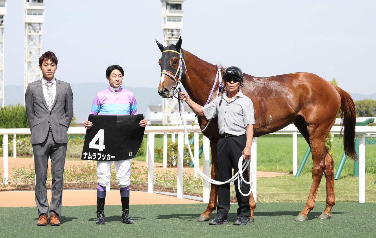 京都9R、あやめ賞を制したナムラフッカーと口取りに並ぶ武豊騎手（中央）（撮影・白石智彦）
