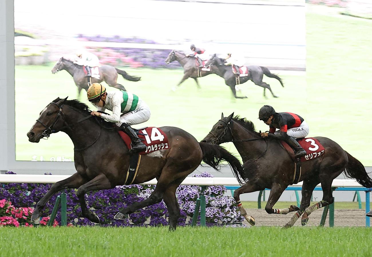 マイラーズカップを制したソウルラッシュ（撮影・上田博志）