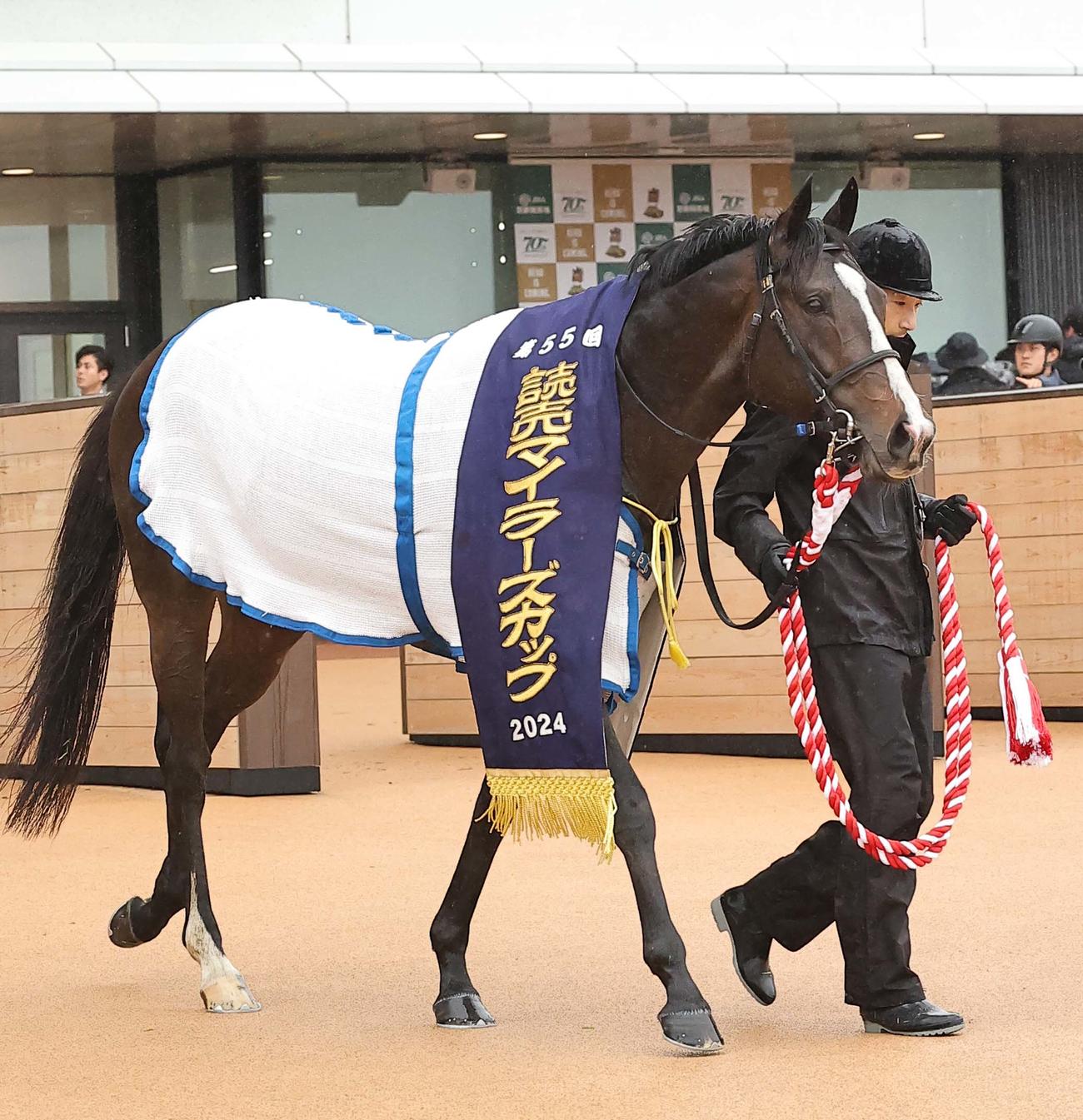 マイラーズカップを制したソウルラッシュ（撮影・上田博志）