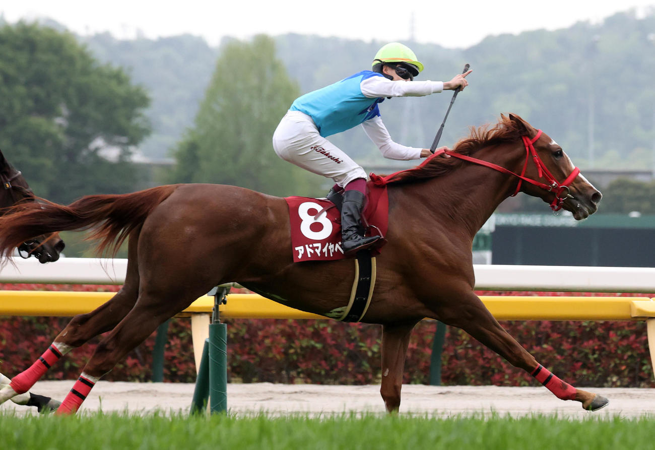 フローラSを制したアドマイヤベルの横山武騎手はポーズを決める（撮影・柴田隆二）