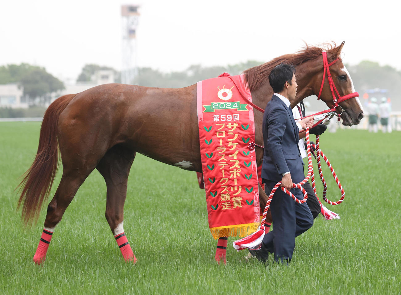 フローラSを制したアドマイヤベル（撮影・柴田隆二）