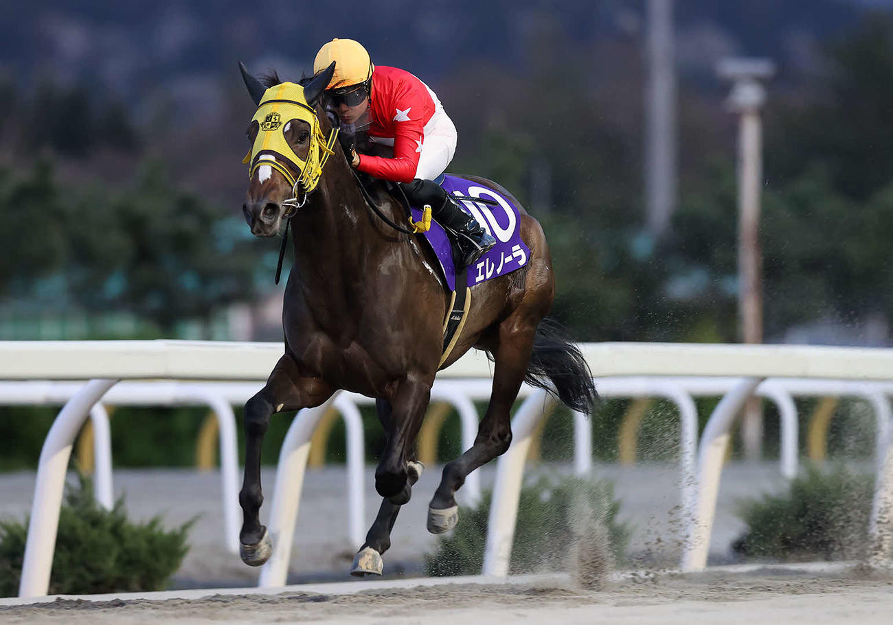 水沢の留守杯日高賞を制したエレノーラ（提供・岩手県競馬組合）