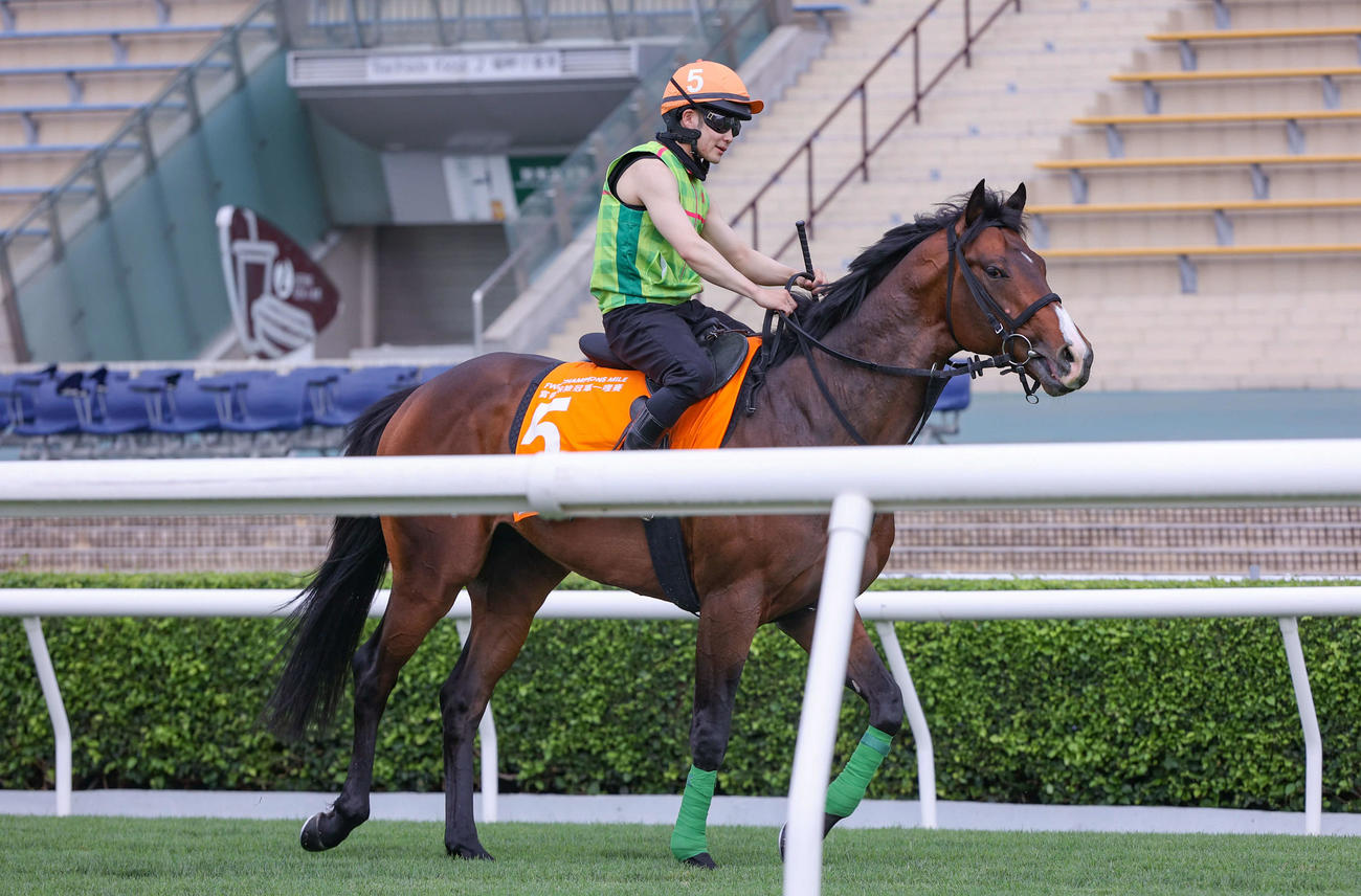 22日、シャティン競馬場で調整するエルトンバローズと西村淳騎手（（C）The Hong Kong Jockey Club）