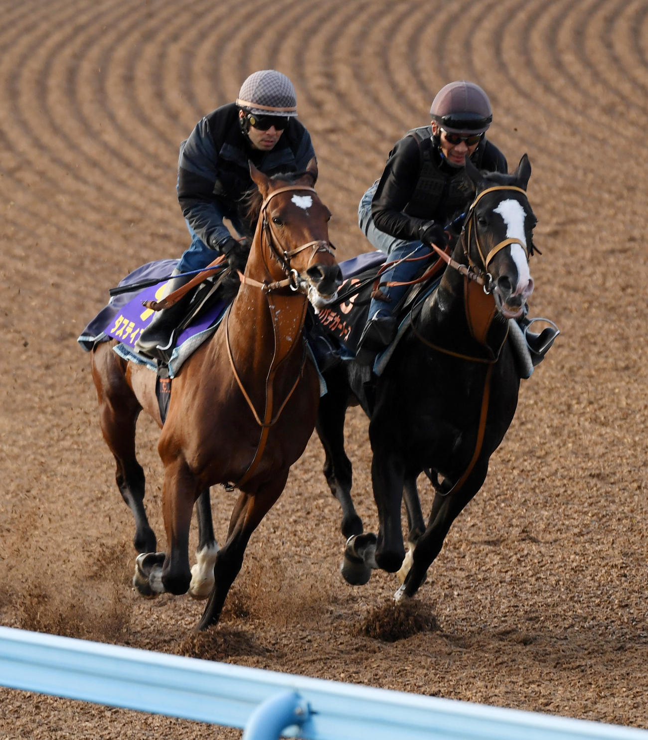 18日、タスティエーラ（左）はゴンバデカーブースと併せて追い切る（撮影・柴田隆二）