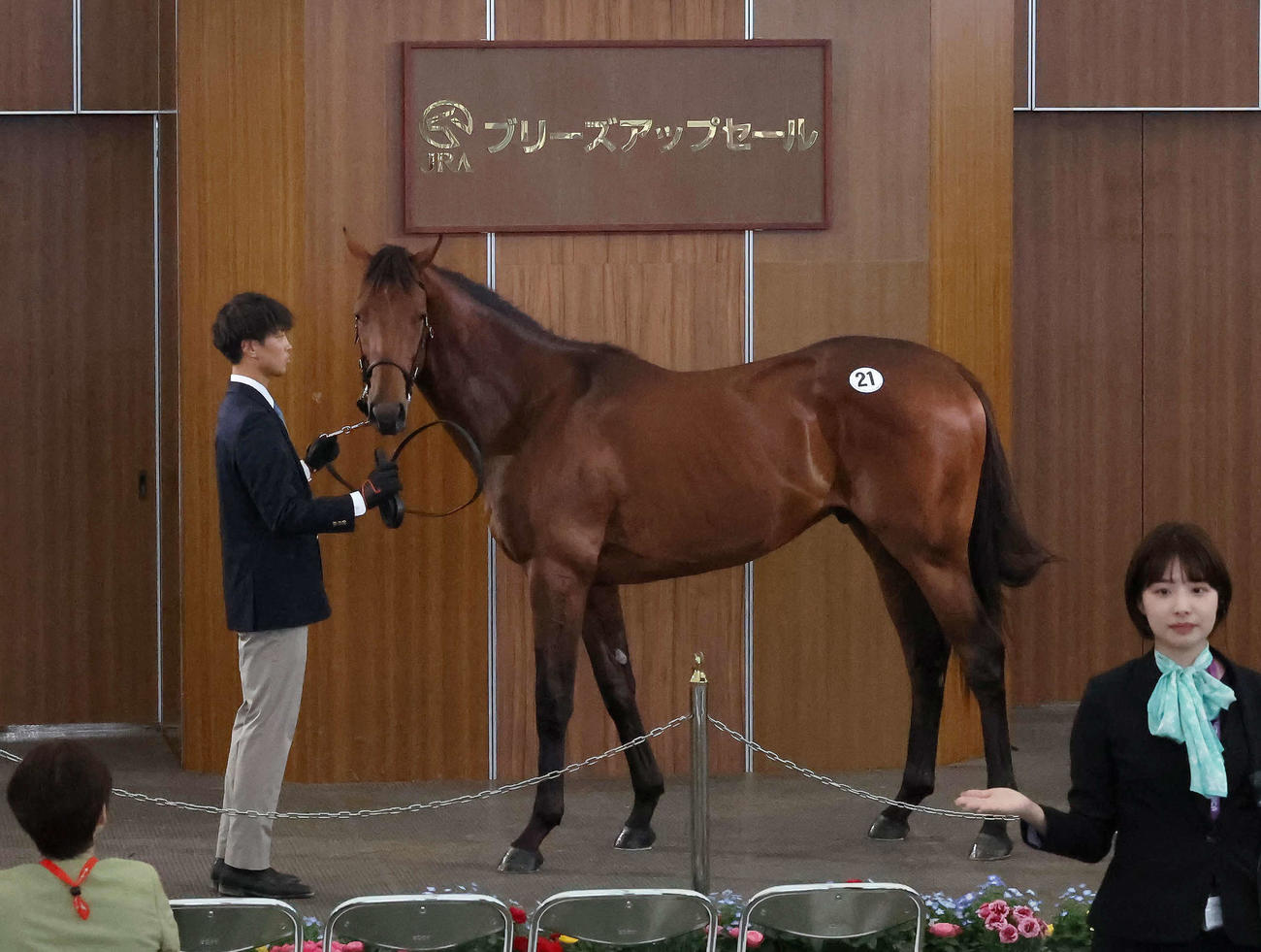 ブリーズアップセールで2400万円で競り落とされたハートフルデイズ2022（撮影・丹羽敏通）